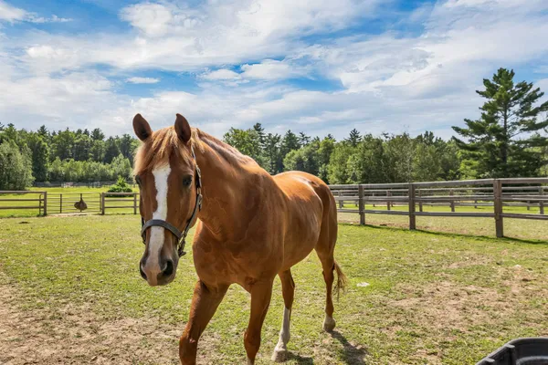 $2,500,000 | 251 Wentworth Road, Brookfield, NH 03872