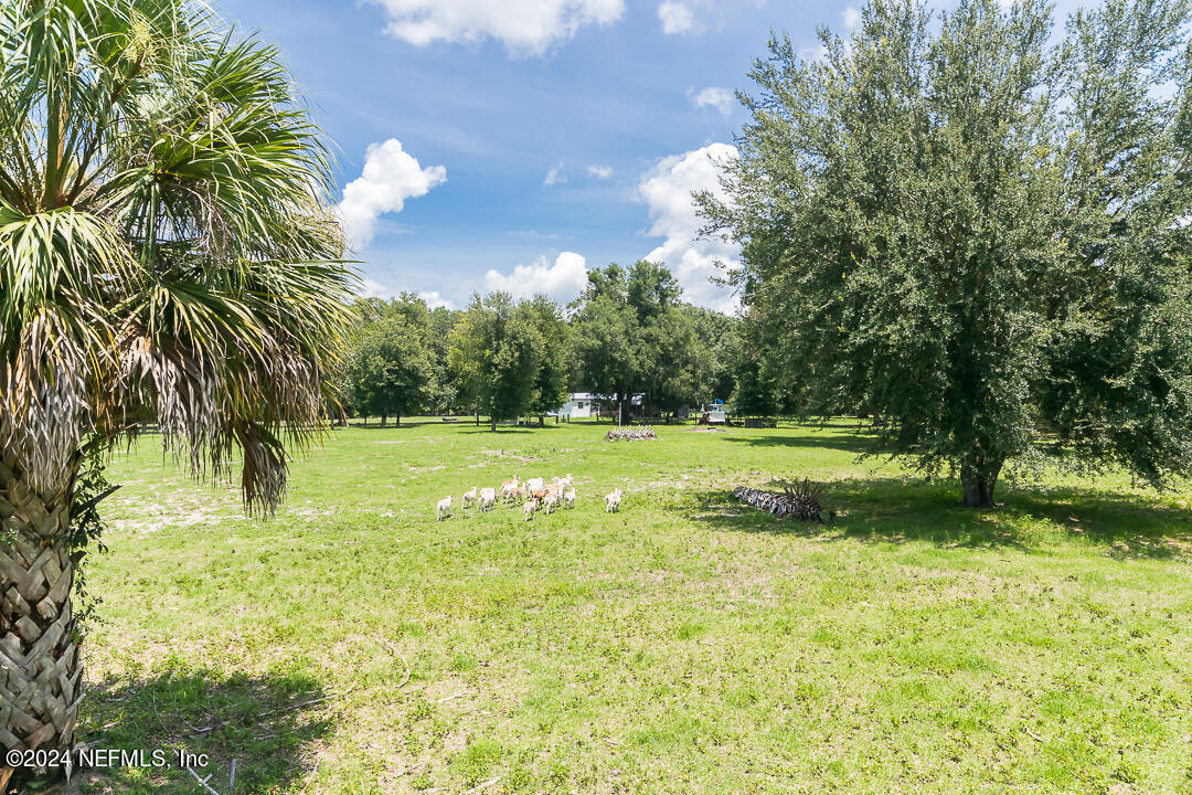 141 Brock Road Florahome, FL 32140 - Photo 20 of 67 x10