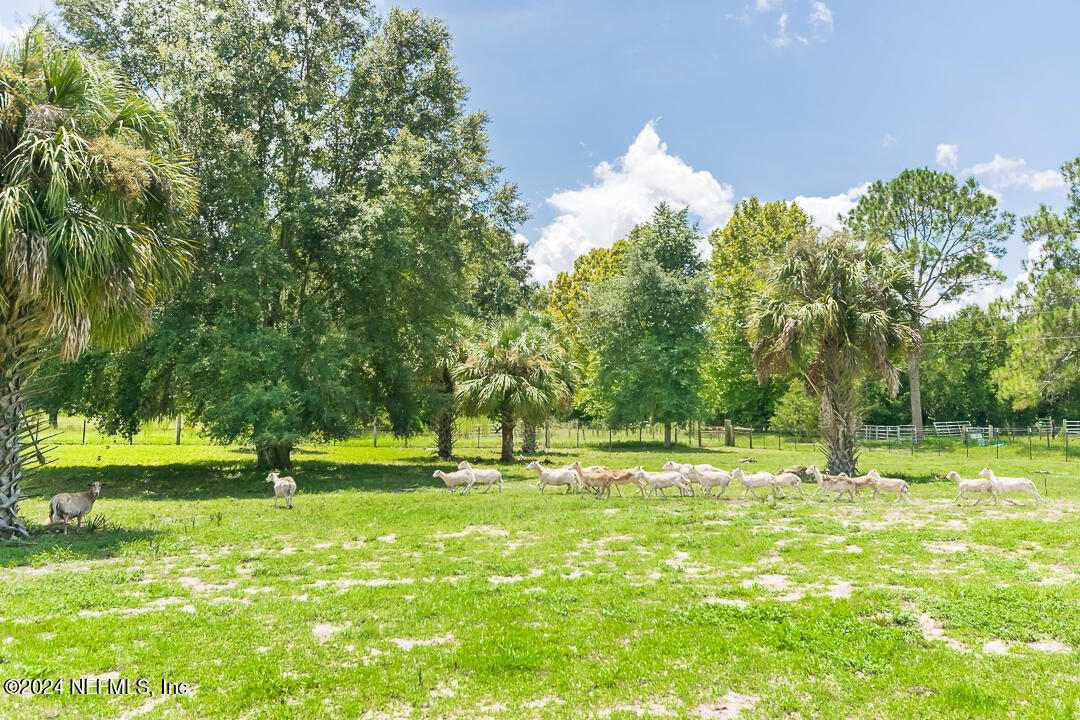 141 Brock Road Florahome, FL 32140 - Photo 53 of 67 048