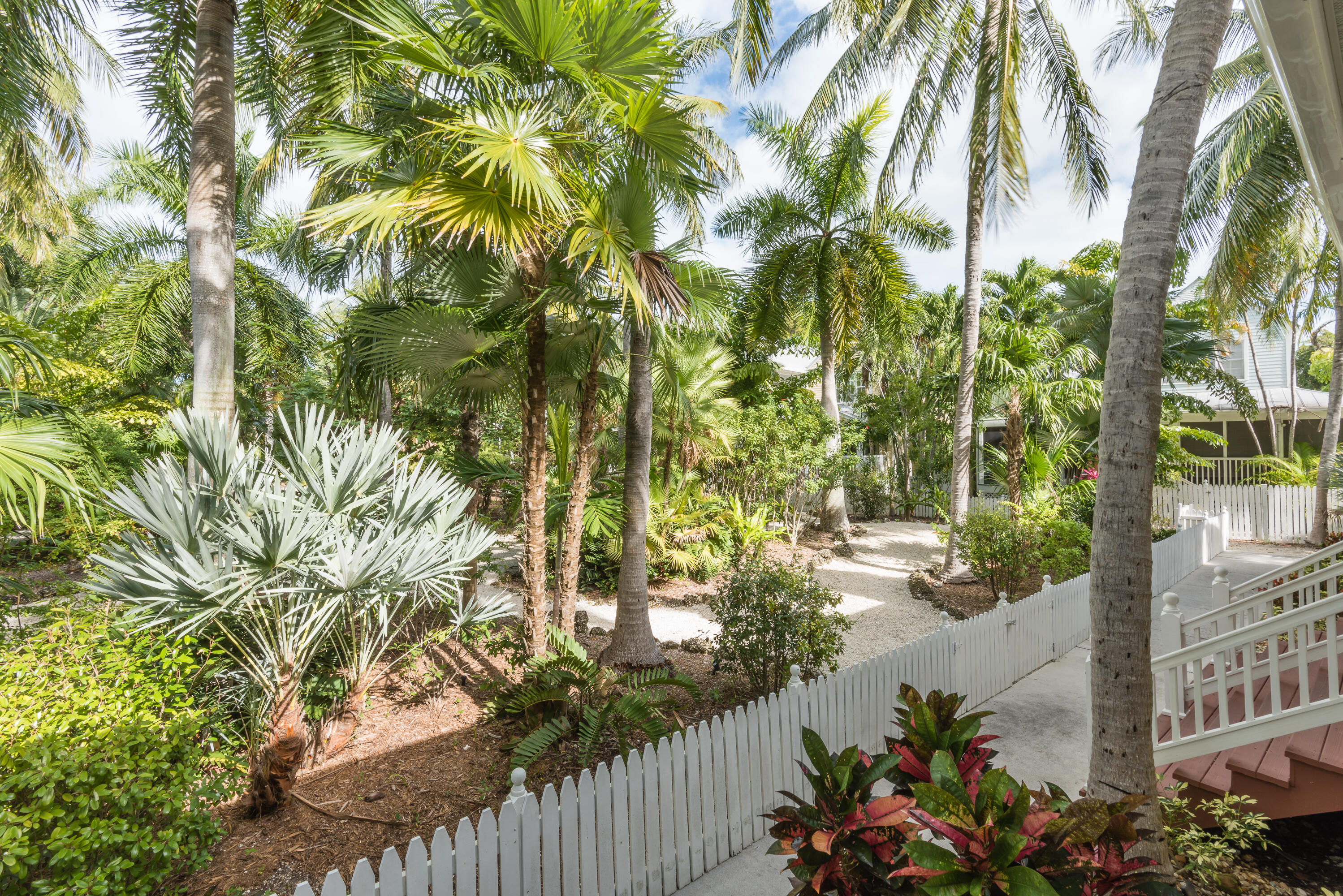 44 Spoonbill Way, Unit 1 Key West, FL 33040 - Photo 58 of 83 a view of a yard with plants and large trees