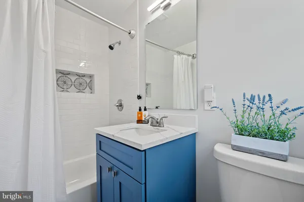 a bathroom with a sink a mirror and a potted plant