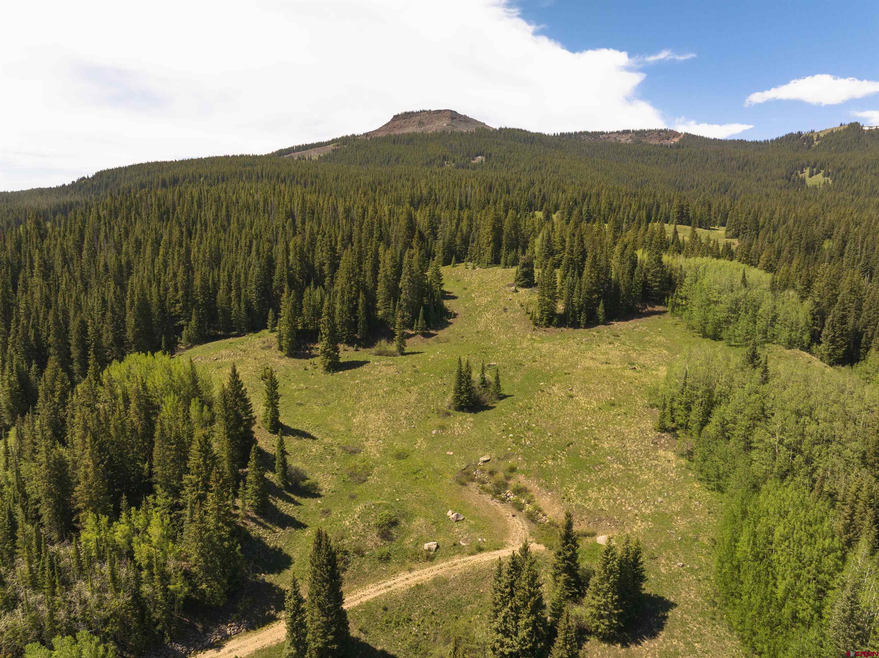 1371 Red Mountain Ranch Road Crested Butte, CO 81224 - Photo 9 of 41