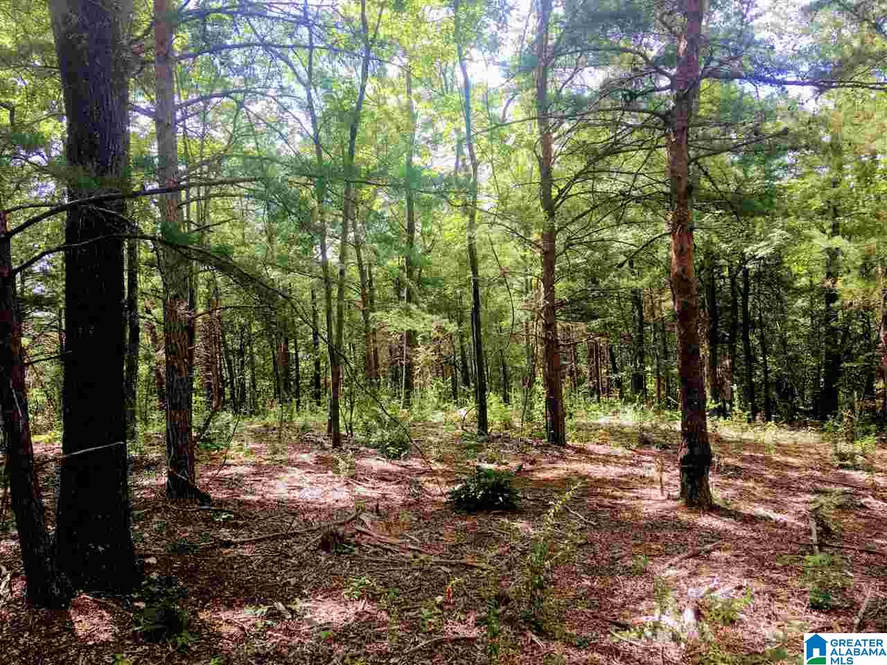 2565 Kentuck Road, Unit 4569 Oxford, AL 36203 - Photo 24 of 46