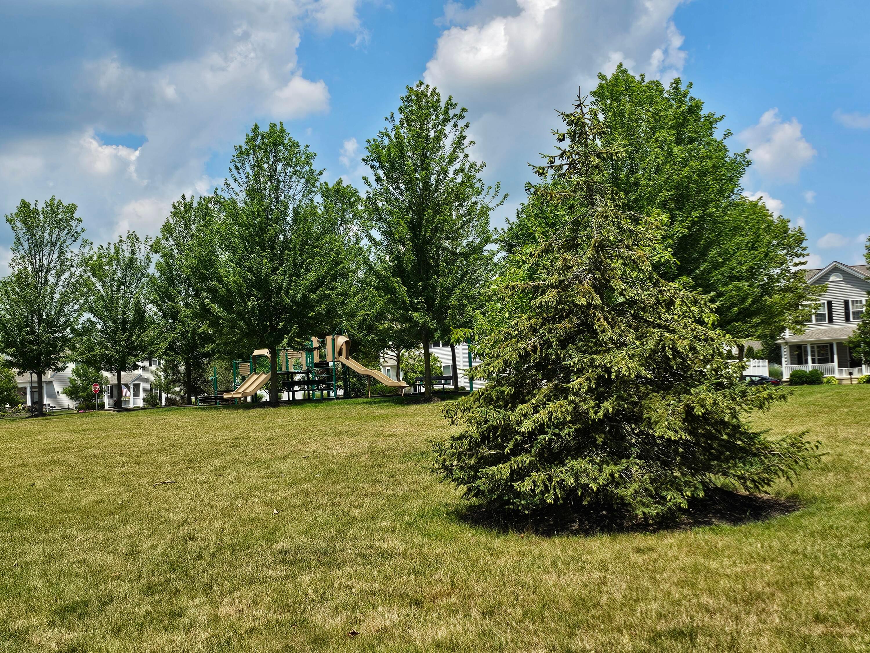 5787 Aderholt Road Dublin, OH 43016 - Photo 3 of 40 20250706_123803