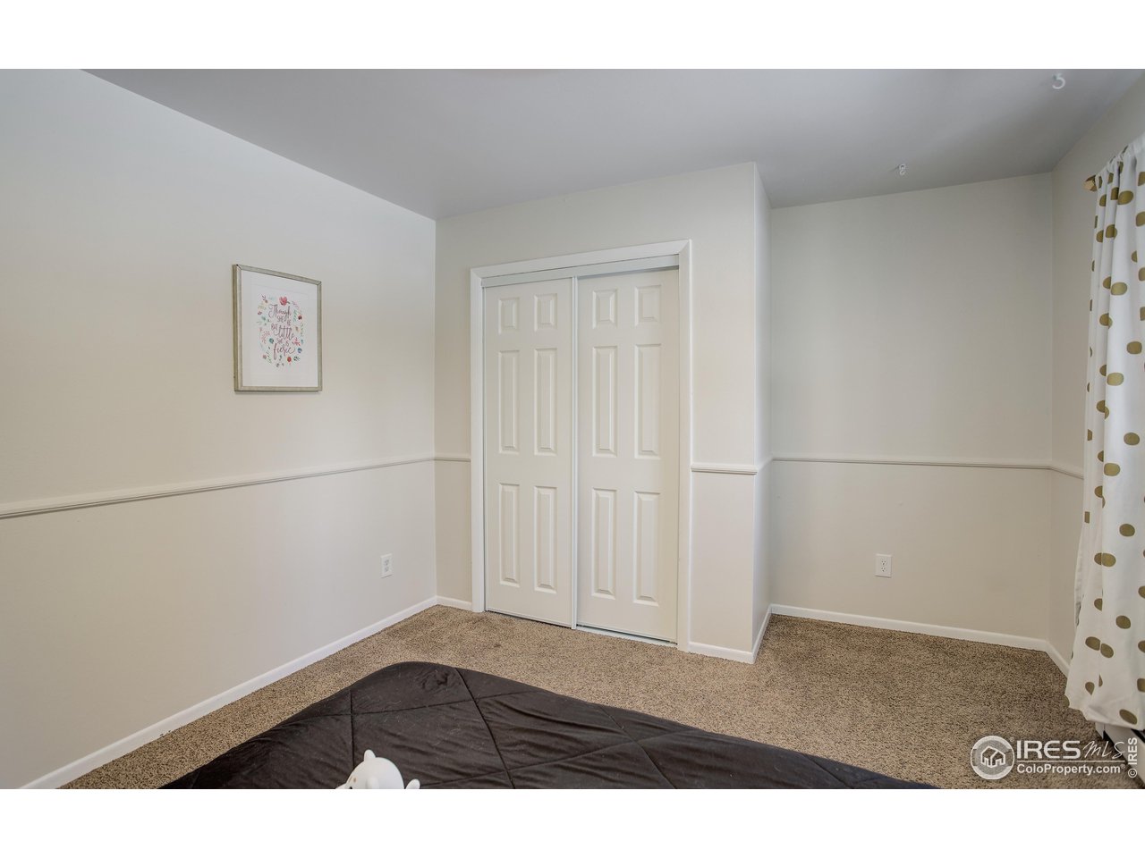 809 East Drake Road, Unit 104 Fort Collins, CO 80525 - Photo 16 of 36 Second Bedroom