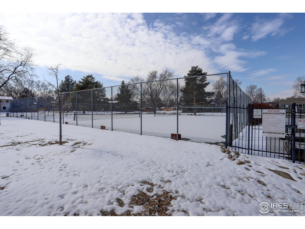 809 East Drake Road, Unit 104 Fort Collins, CO 80525 - Photo 35 of 36 Pool and Tennis Courts located by Condo