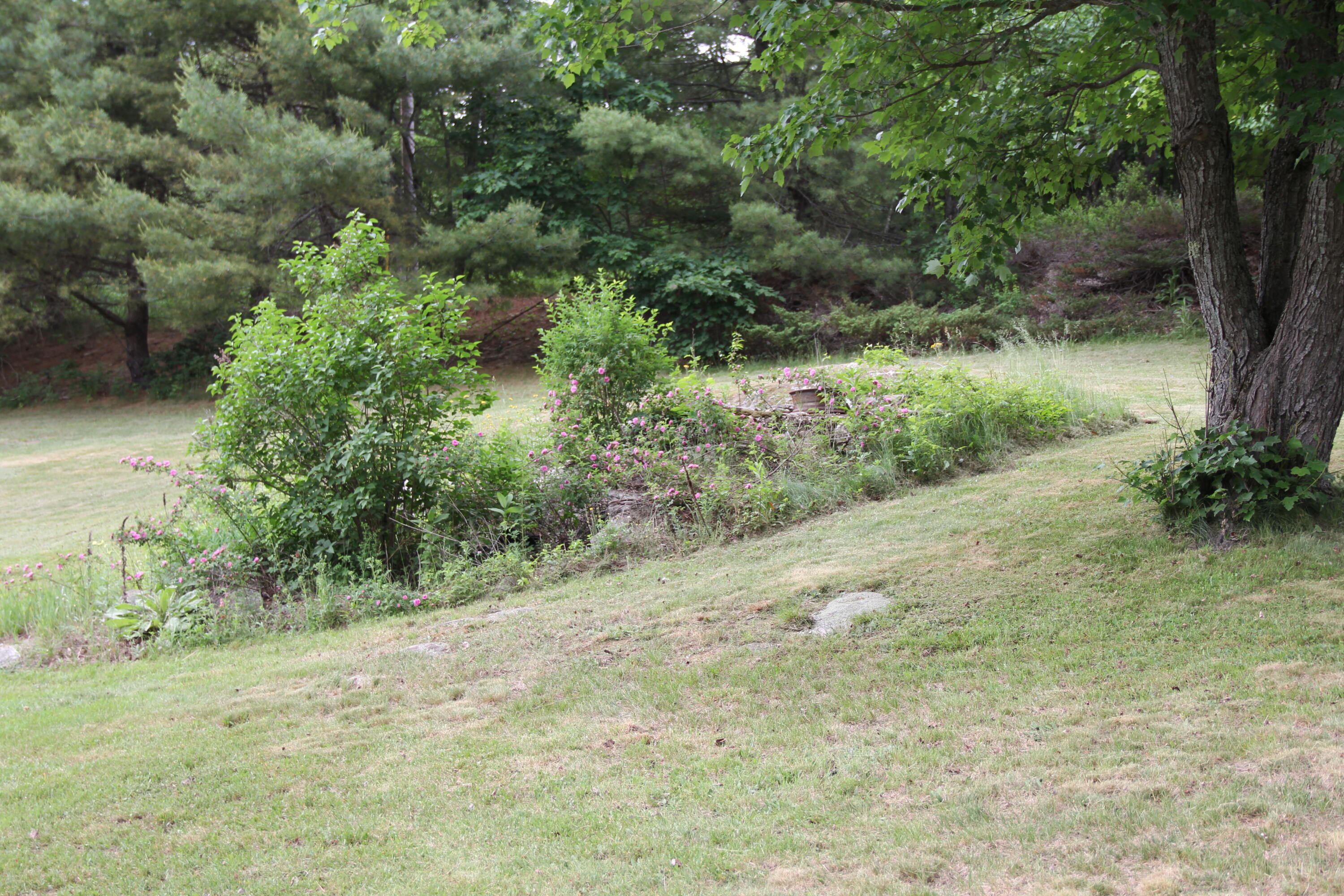 173 East Buckfield Road Buckfield, ME 04220 - Photo 35 of 74 0CB5ACFF-2330-49F2-AAC3-3056A7C5B095