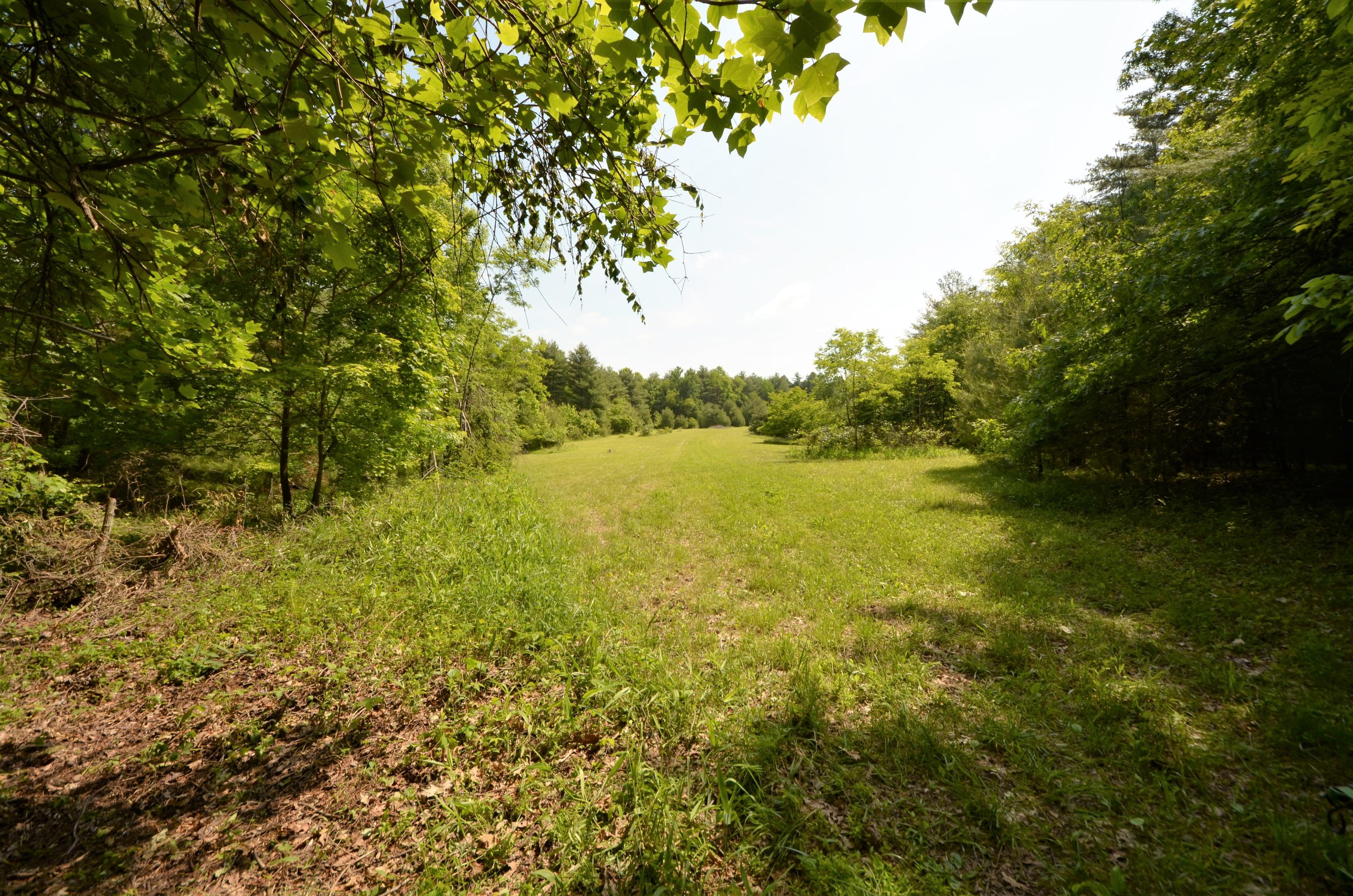 1687 Merifield Road Northwest Willis, VA 24380 - Photo 3 of 33 DSC_0010 (4)