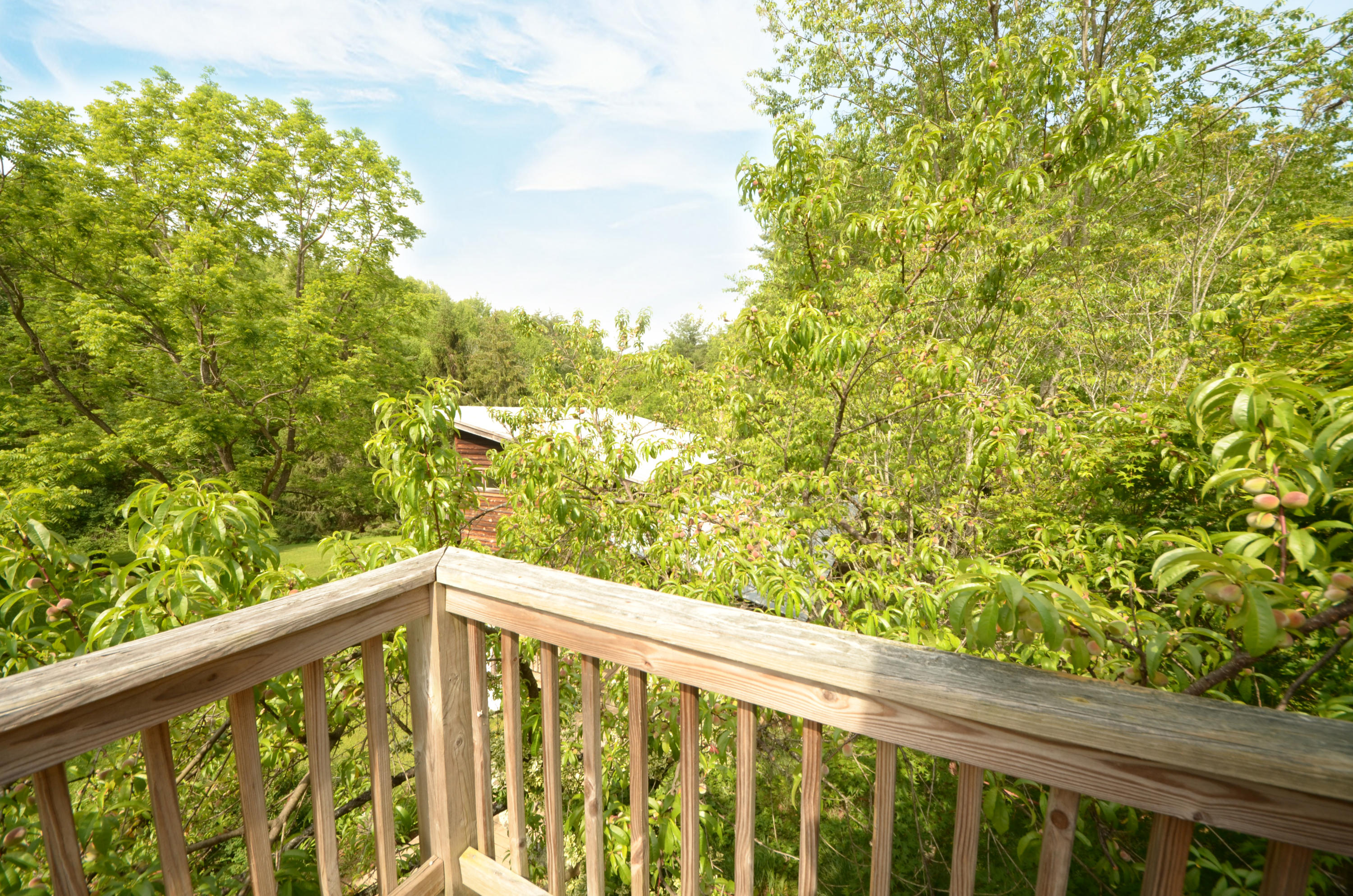 1687 Merifield Road Northwest Willis, VA 24380 - Photo 24 of 33 DSC_0191