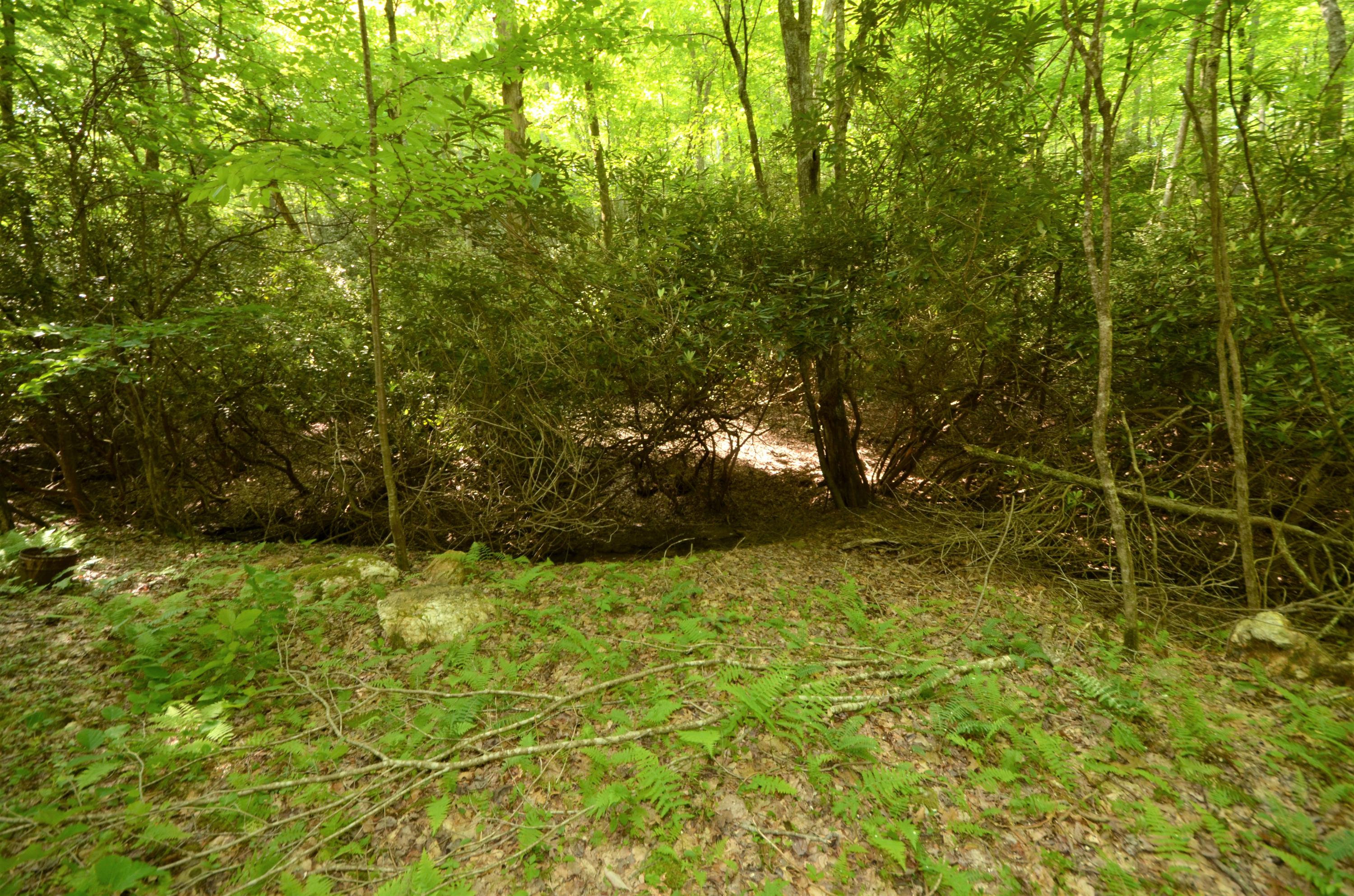 1687 Merifield Road Northwest Willis, VA 24380 - Photo 33 of 33 DSC_0252 (2)