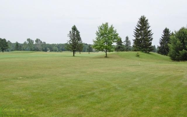 7902 Red Fox Road, Unit 29 Canadian Lakes, MI 49346 - Photo 4 of 17 Additional Photo
