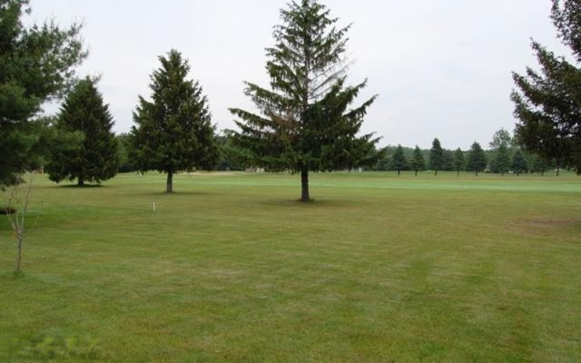 7902 Red Fox Road, Unit 29 Canadian Lakes, MI 49346 - Photo 5 of 17 Additional Photo