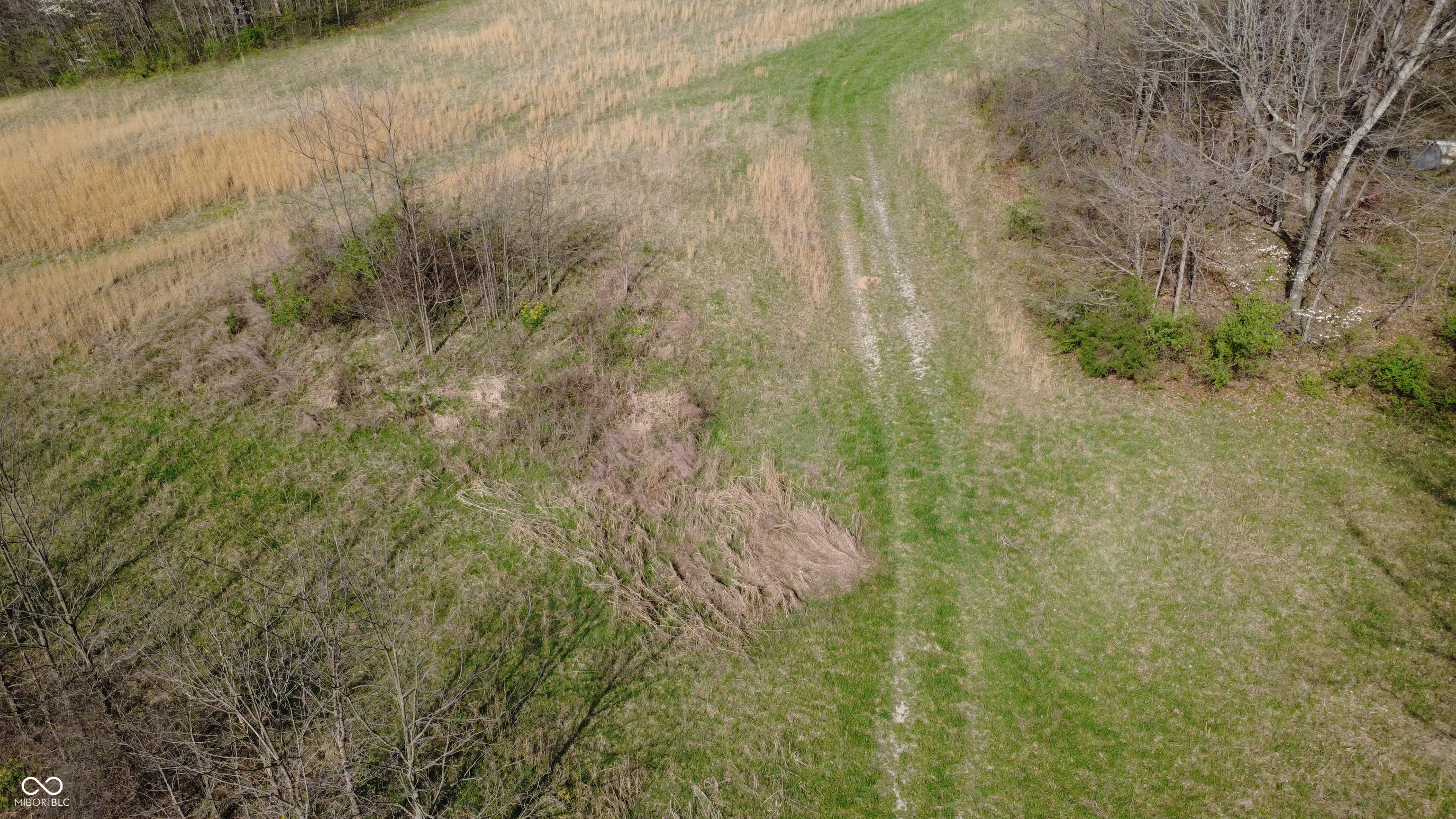 0 Coal Mine Road Bloomfield, IN 47424 - Photo 2 of 16