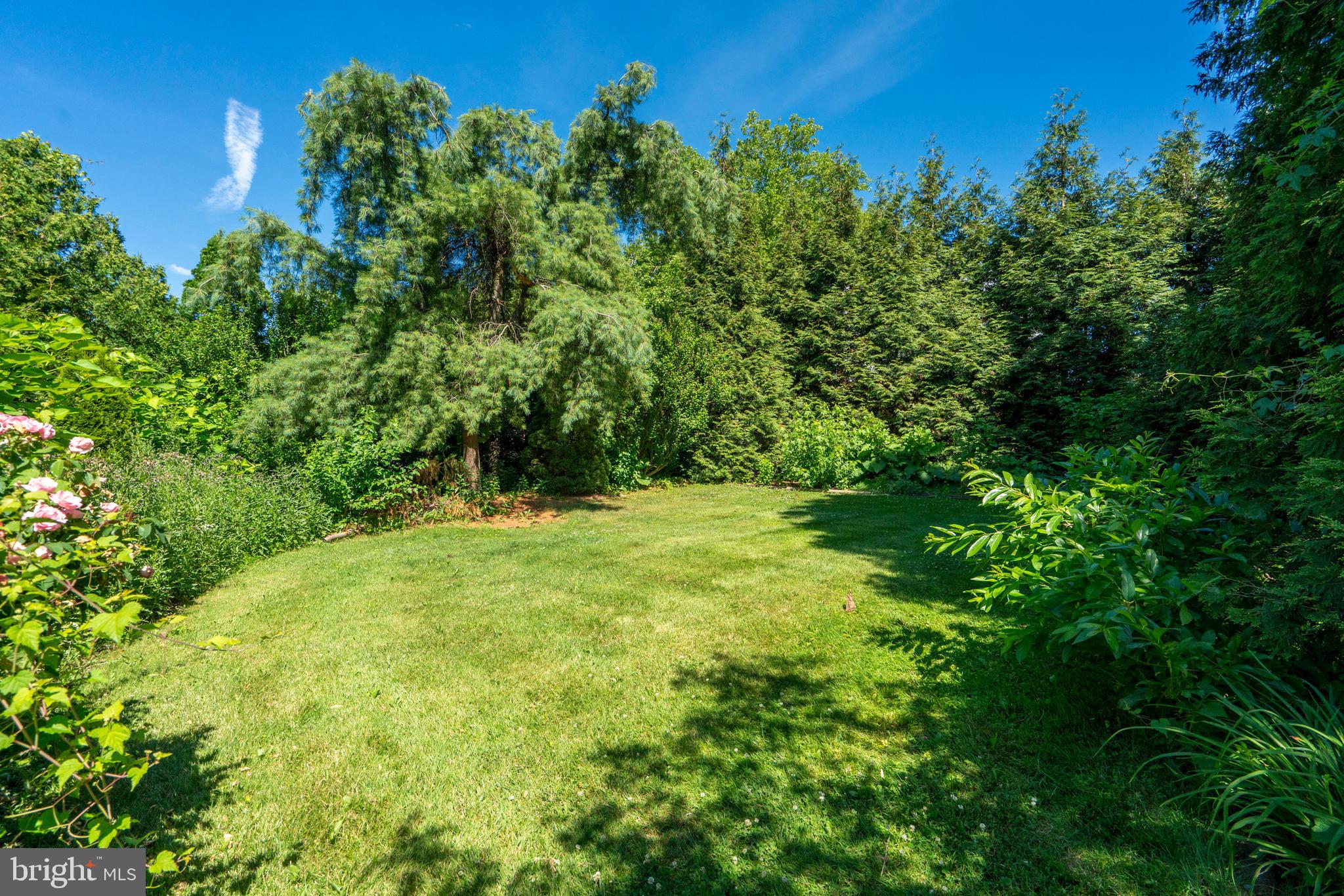 101 Mill Road Oreland, PA 19075 - Photo 37 of 39 Side Yard