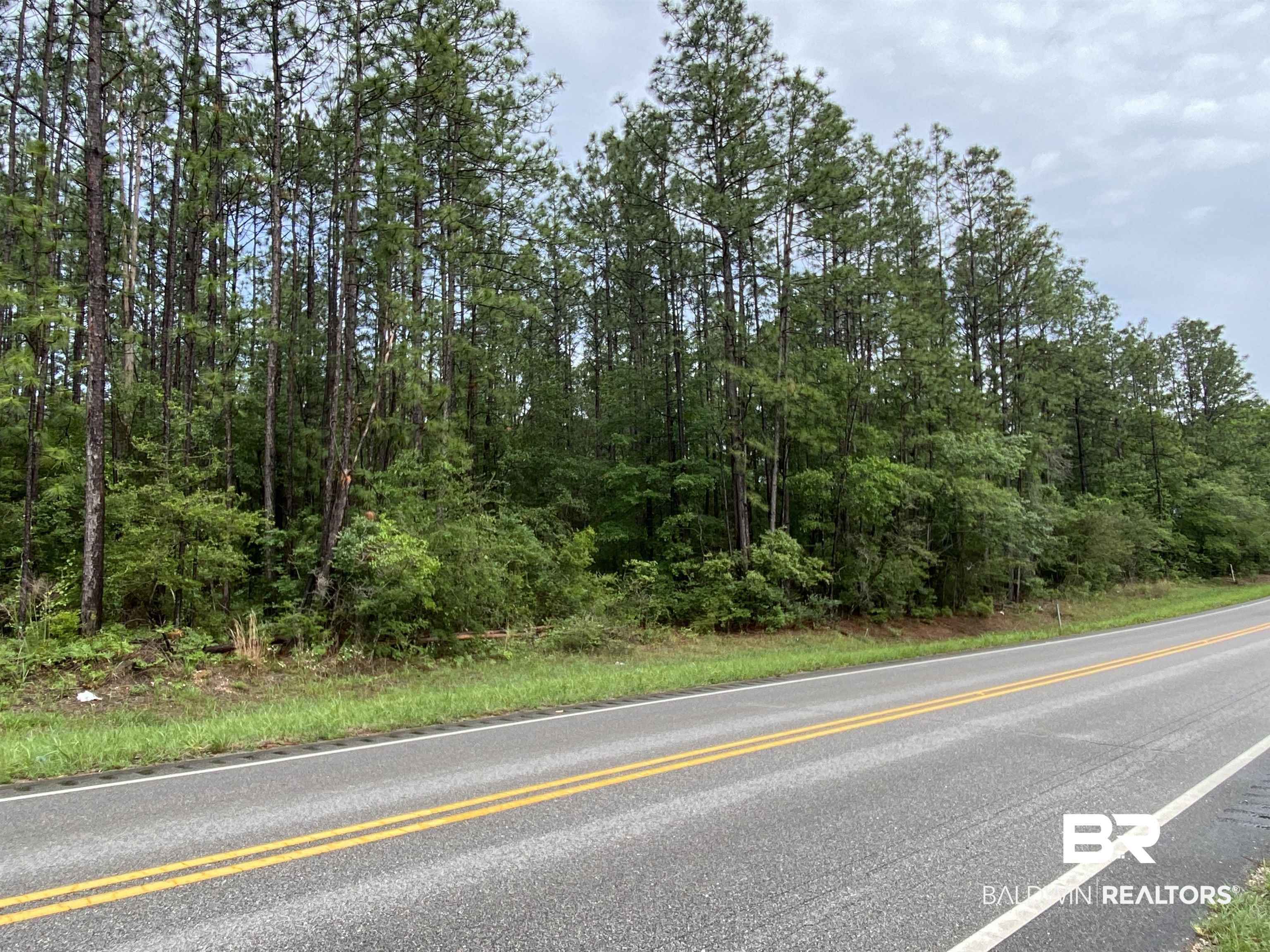 44426 Highway 31 Brewton, AL 36426 - Photo 1 of 2