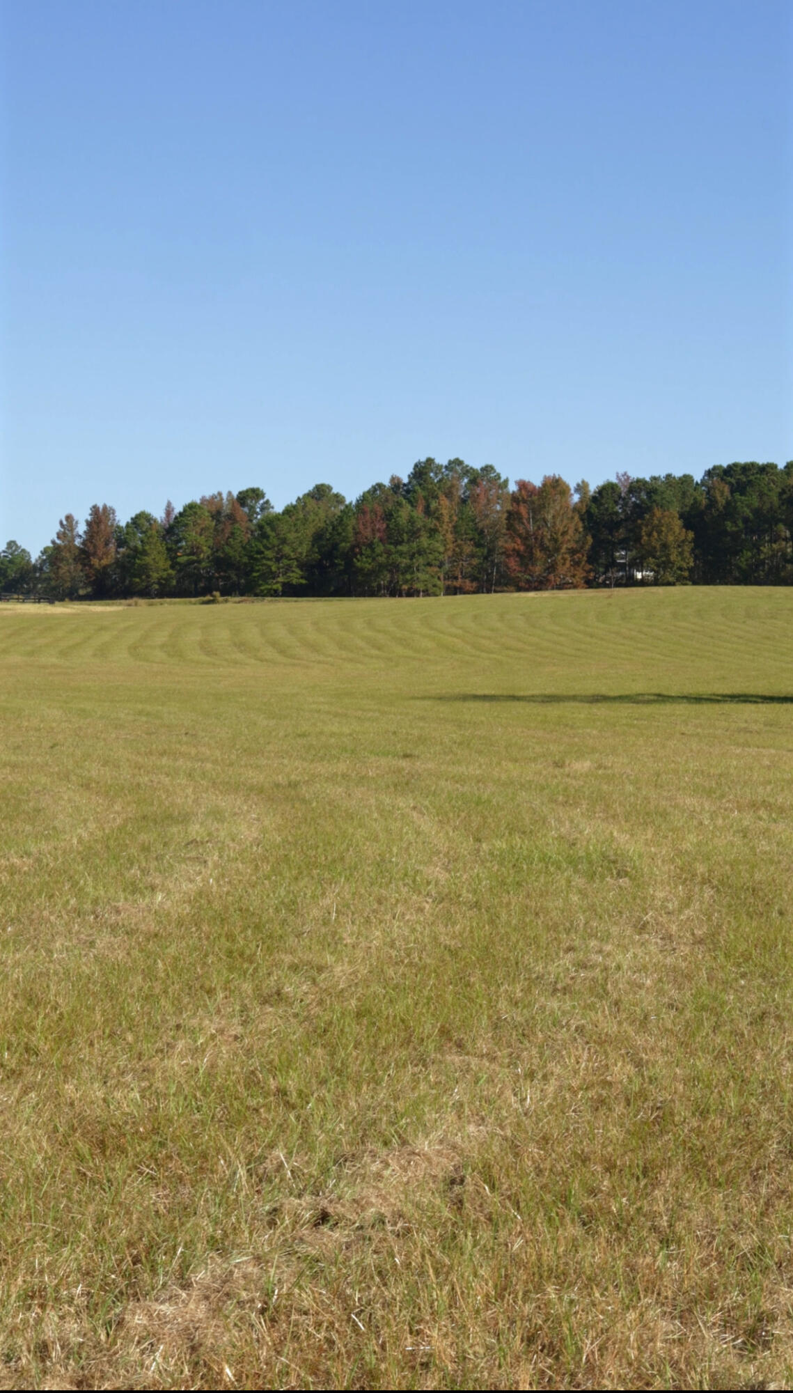 Lot 16 Reeves Street Aiken, SC 29805 - Photo 15 of 15