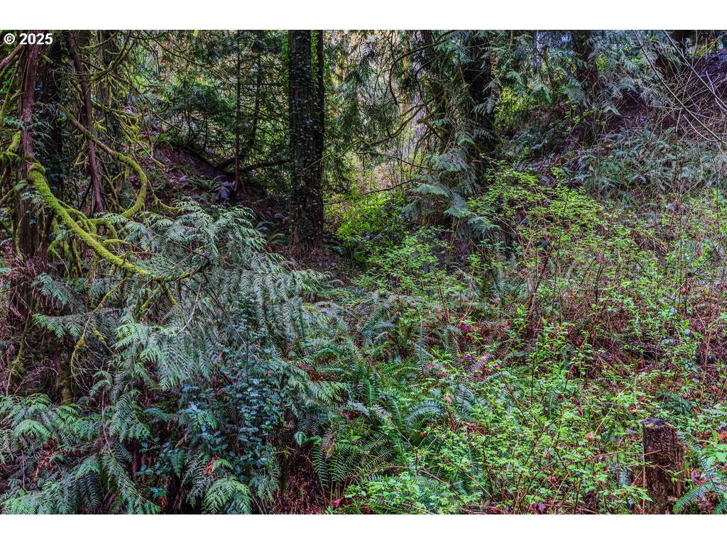 6933 Southeast Barbara Welch Road Portland, OR 97236 - Photo 12 of 18