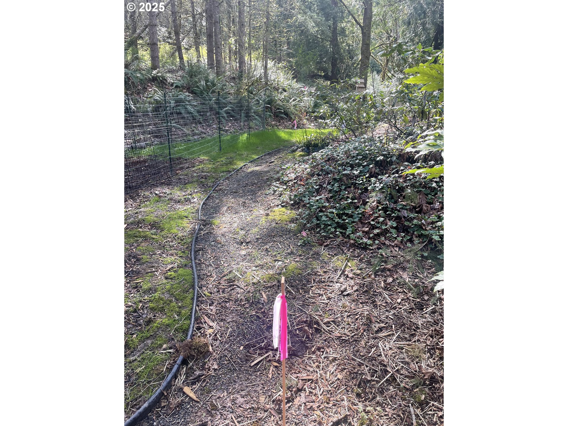 6933 Southeast Barbara Welch Road Portland, OR 97236 - Photo 16 of 18