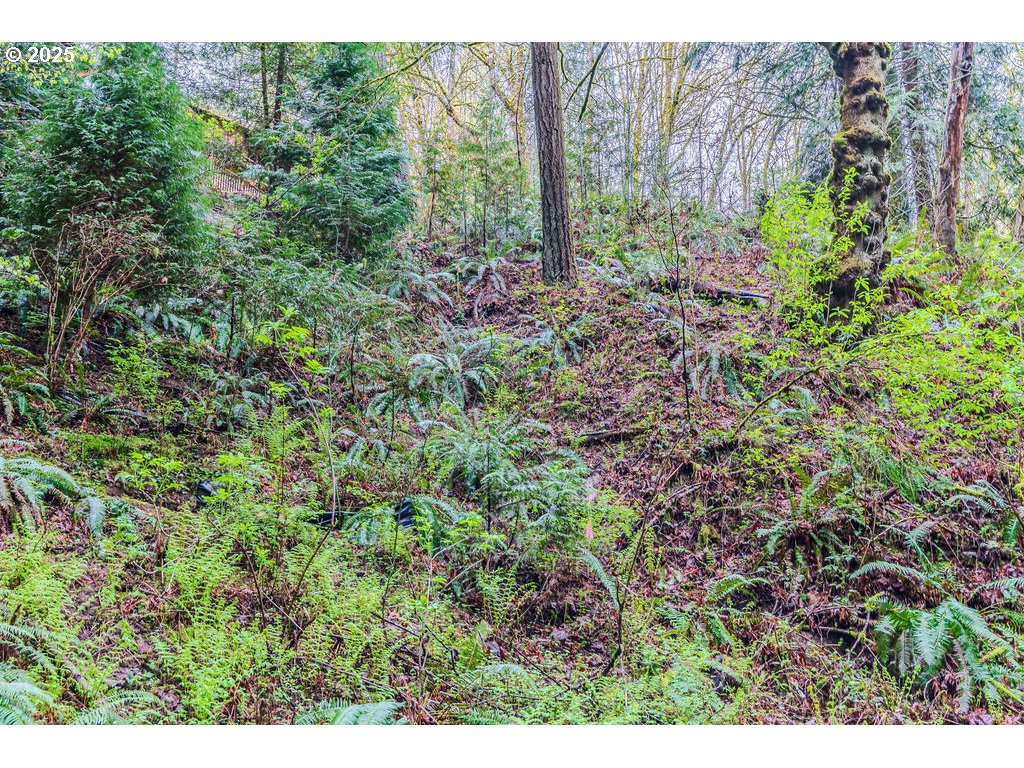 6933 Southeast Barbara Welch Road Portland, OR 97236 - Photo 3 of 18