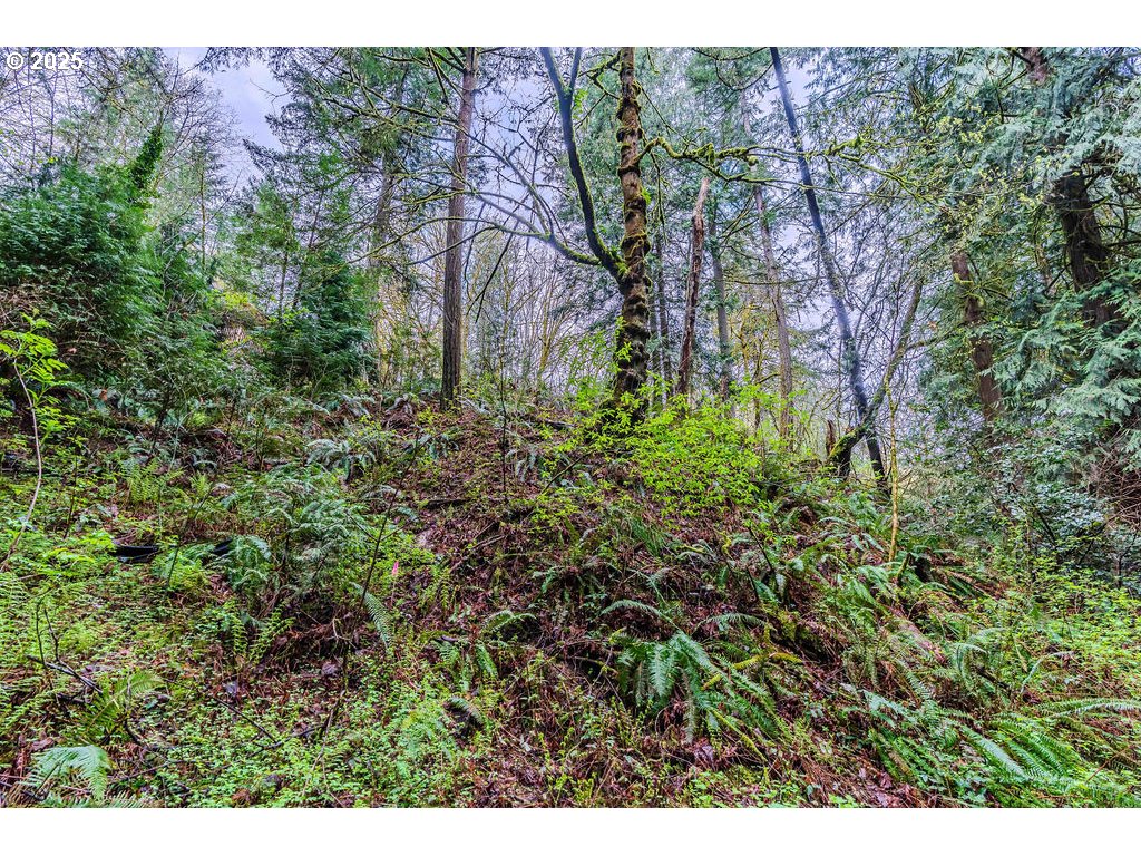 6933 Southeast Barbara Welch Road Portland, OR 97236 - Photo 4 of 18