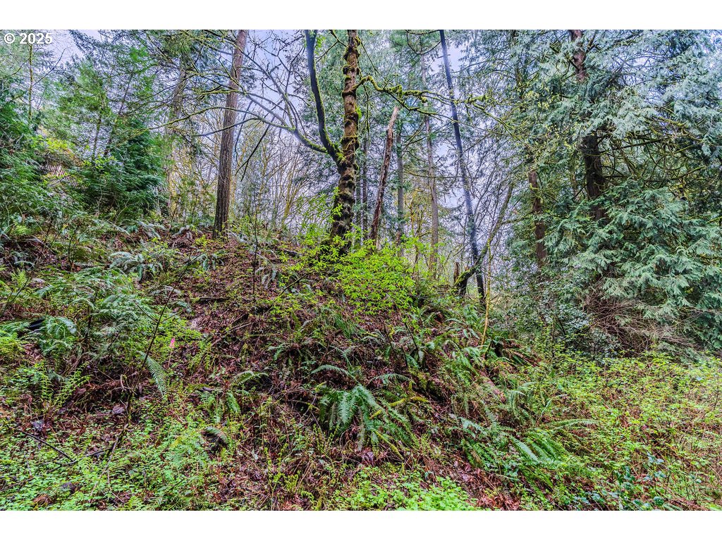 6933 Southeast Barbara Welch Road Portland, OR 97236 - Photo 5 of 18