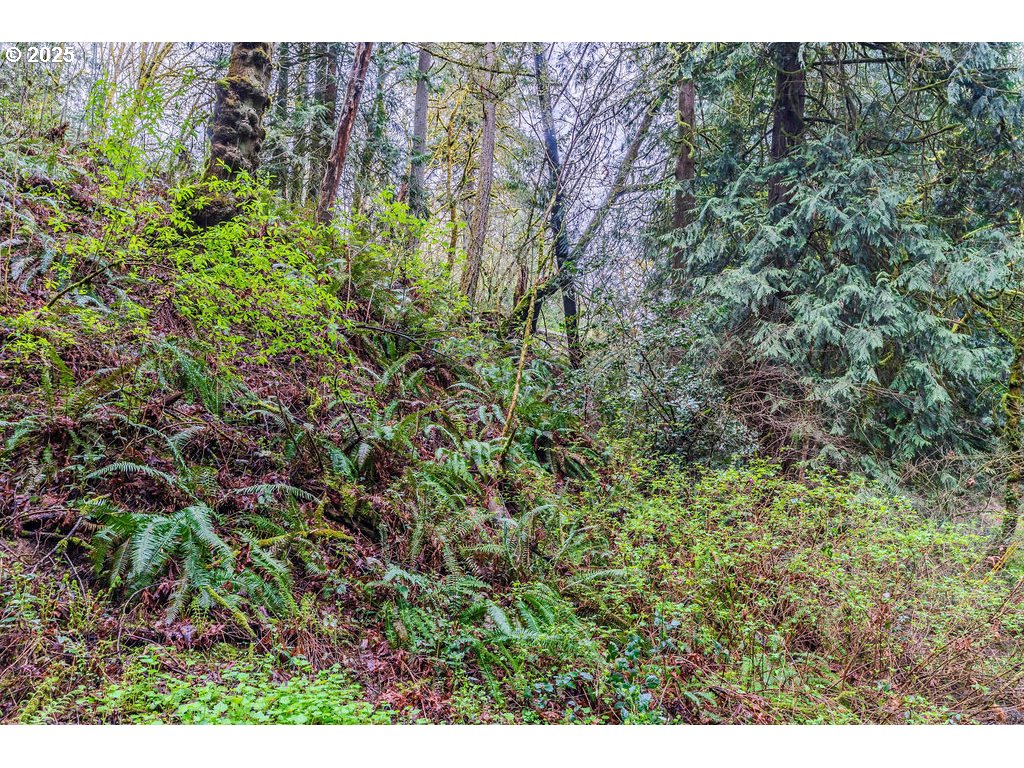 6933 Southeast Barbara Welch Road Portland, OR 97236 - Photo 7 of 18