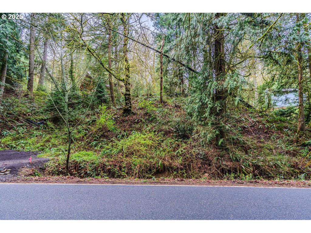 6933 Southeast Barbara Welch Road Portland, OR 97236 - Photo 9 of 18