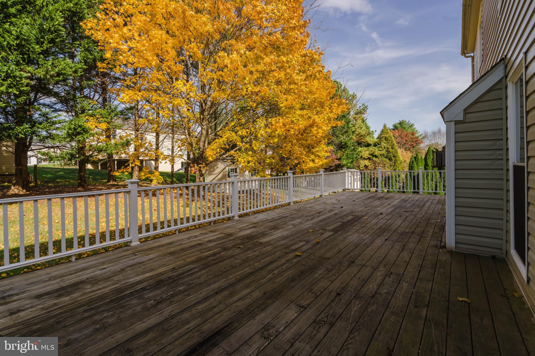 33 Hummingbird Lane Newark, DE 19711 - Photo 48 of 53 Big & beautiful back deck