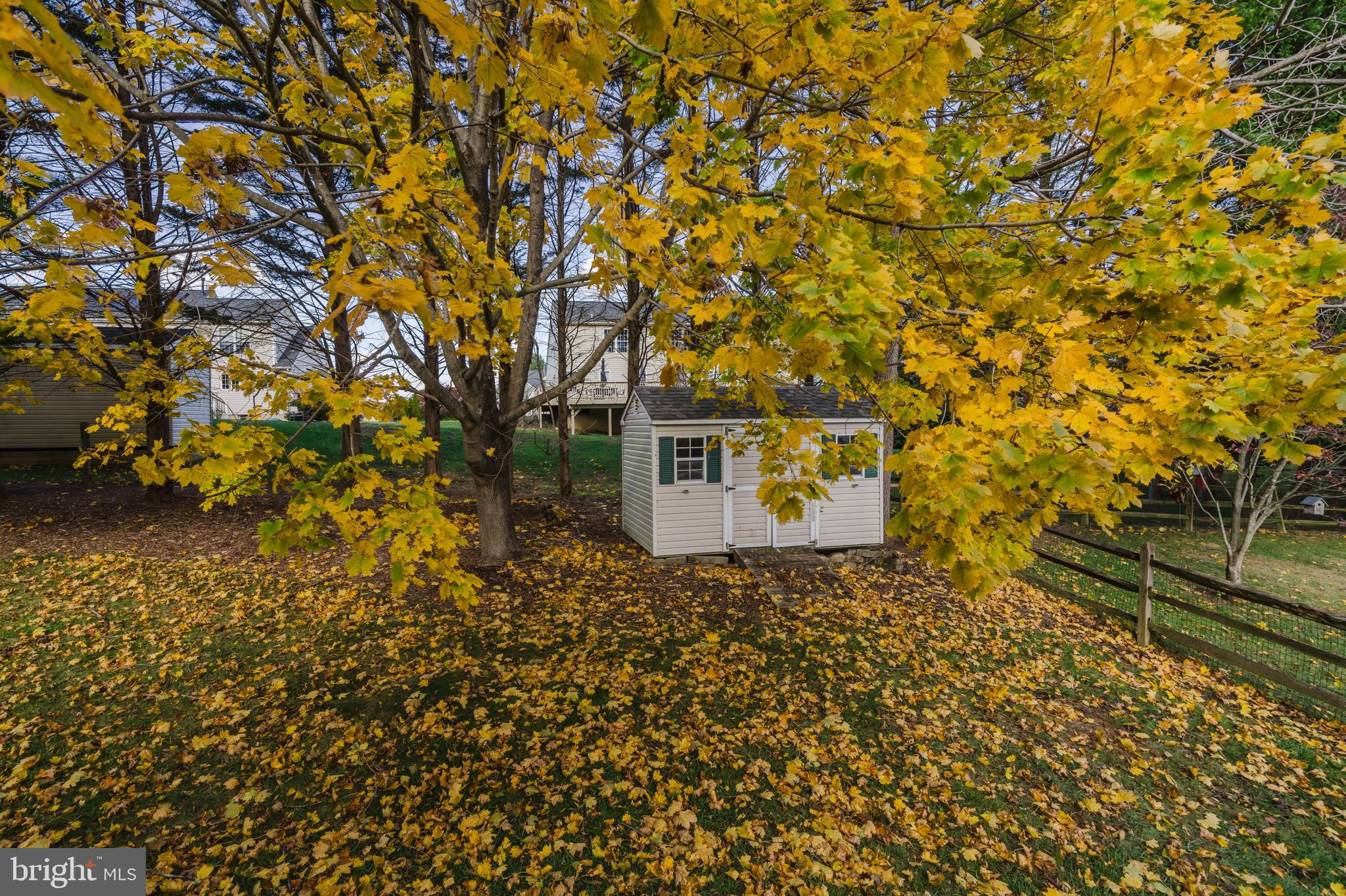 33 Hummingbird Lane Newark, DE 19711 - Photo 48 of 49 Backyard shed