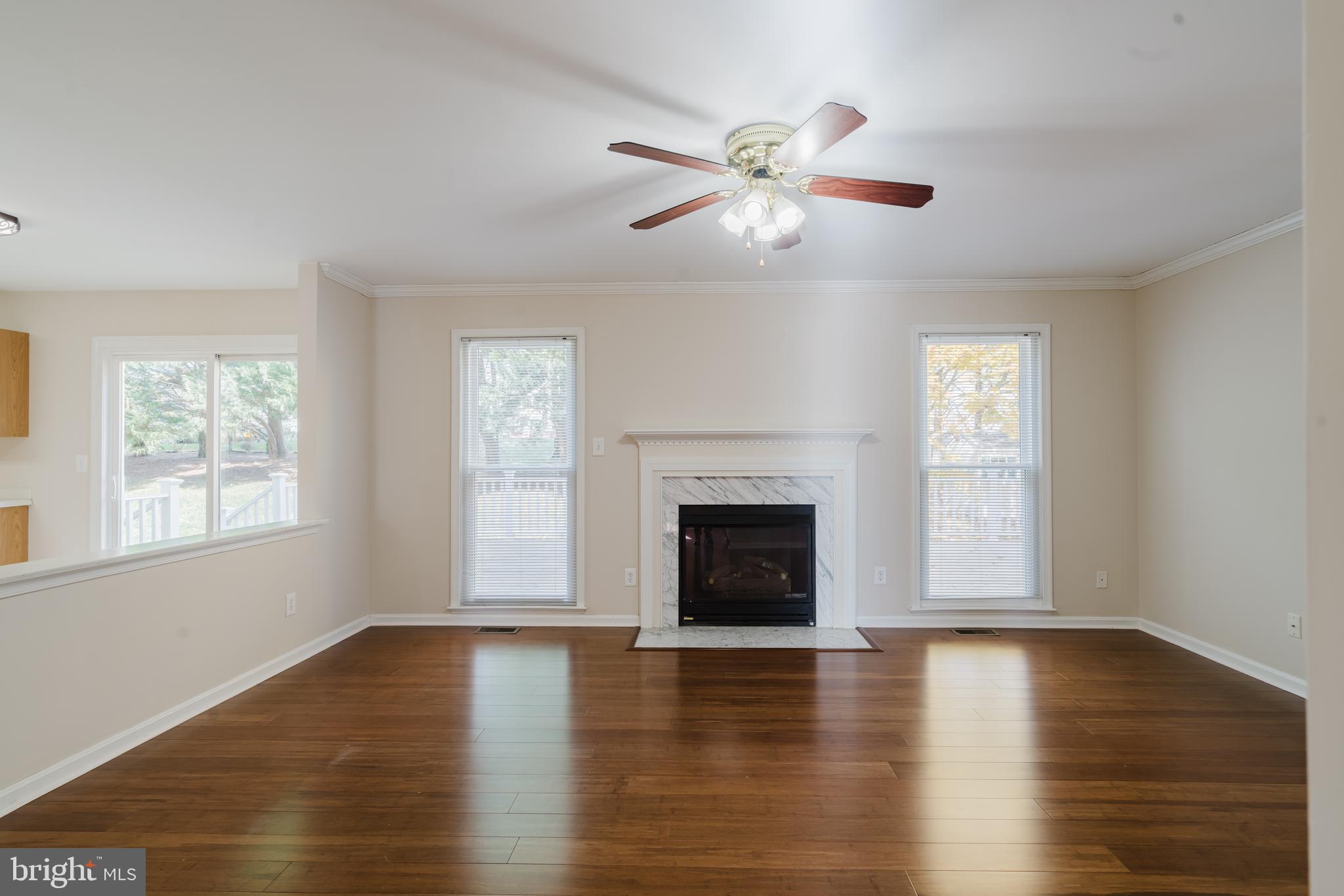 33 Hummingbird Lane Newark, DE 19711 - Photo 8 of 49 Family Room with gas fireplace