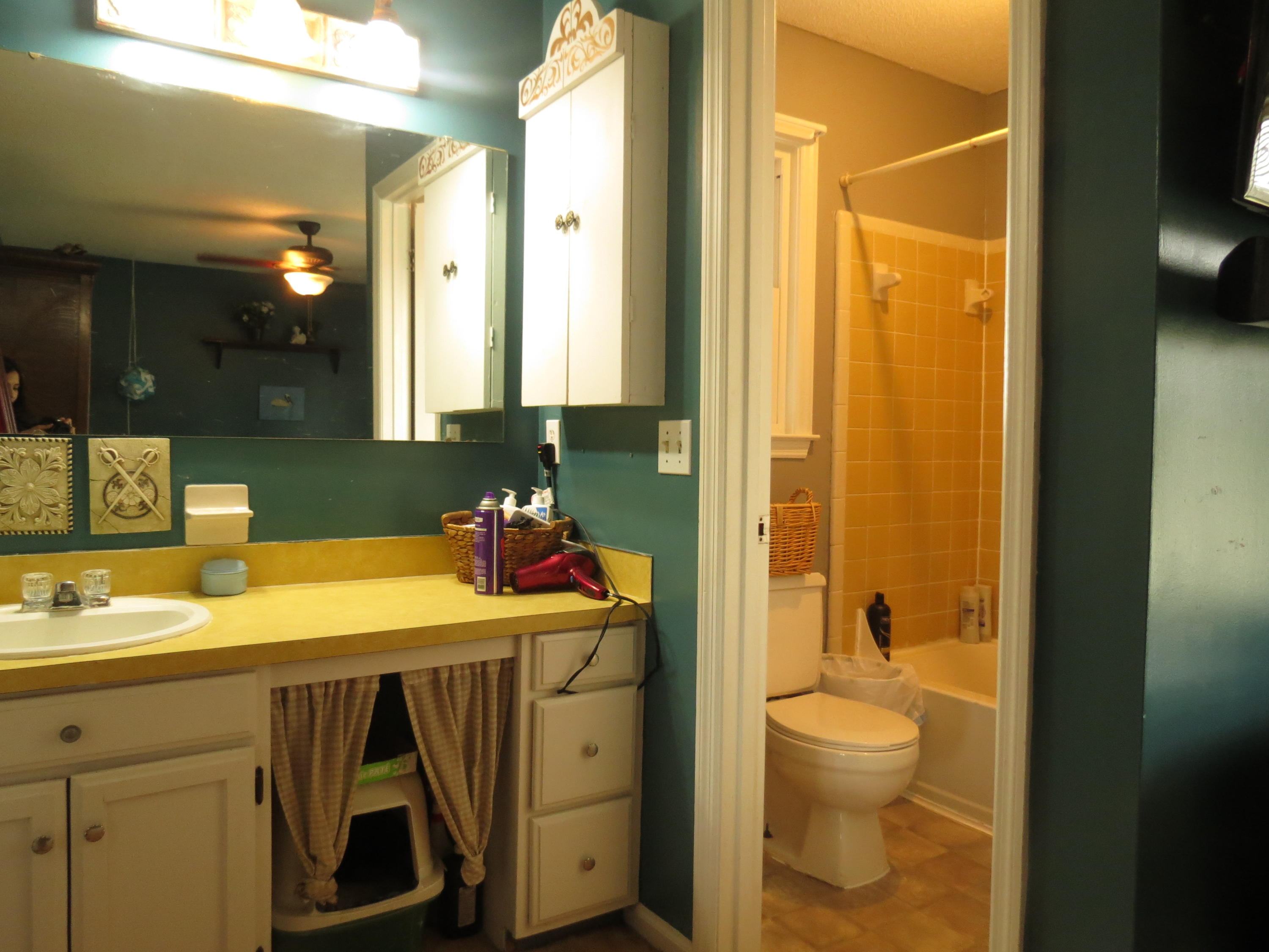 230 Trinity Place Ladson, SC 29456 - Photo 14 of 21 IMG_3582
