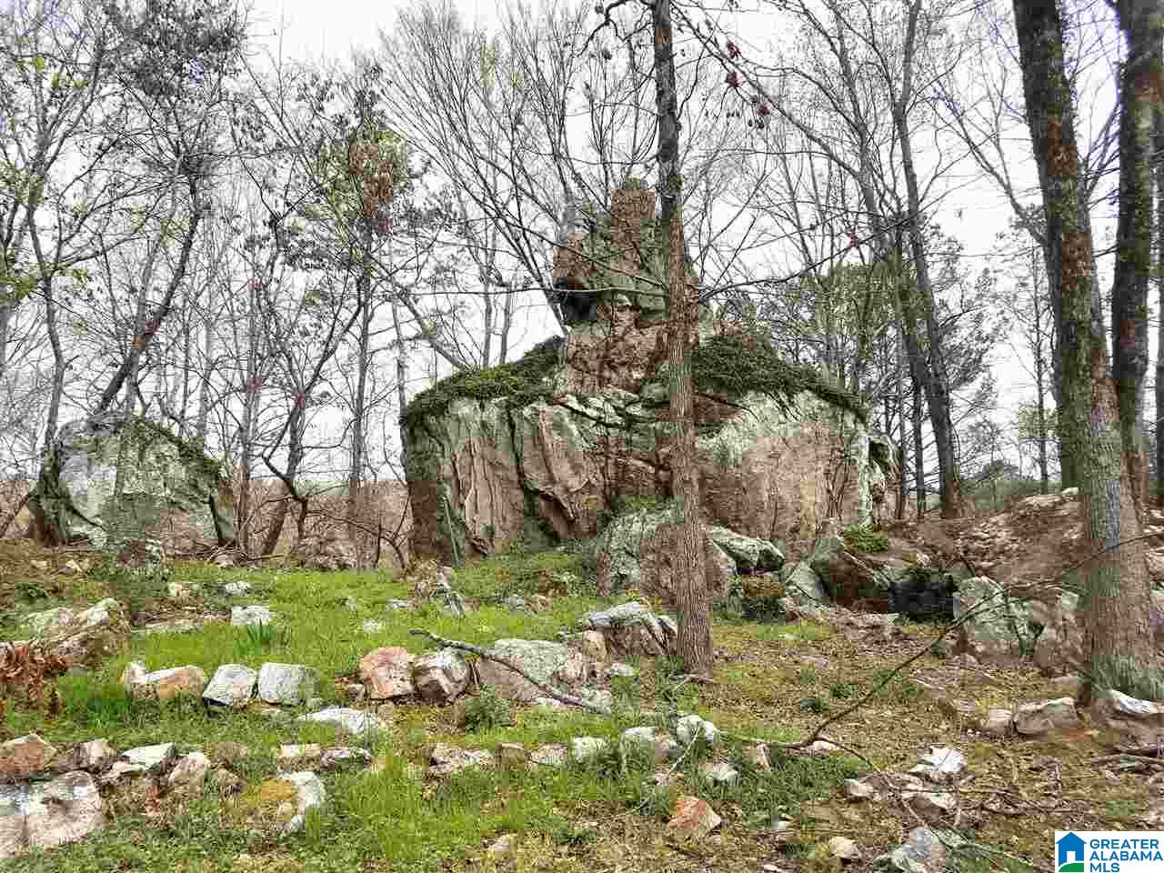 4764 Indian Valley Road Birmingham, AL 35217 - Photo 44 of 44