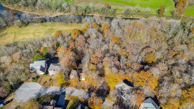 a view of a forest with trees in the background