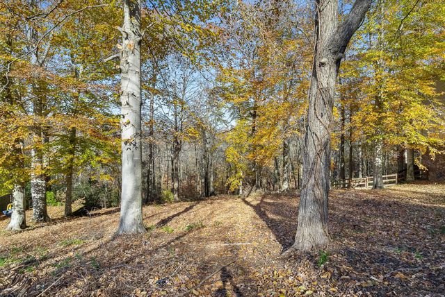 a view of a yard with trees