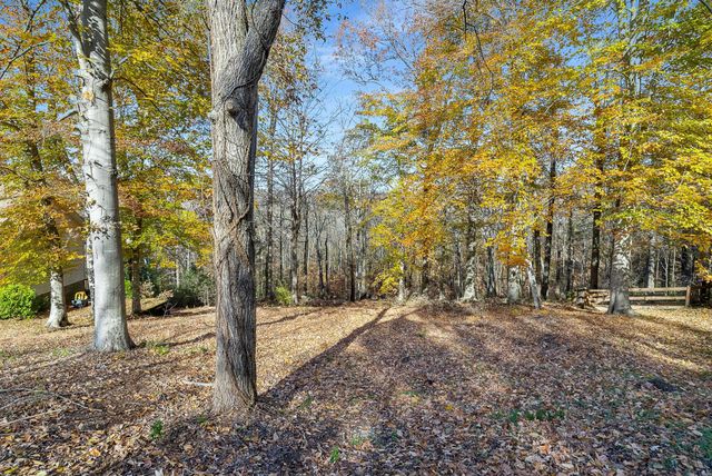 a view of outdoor space with trees