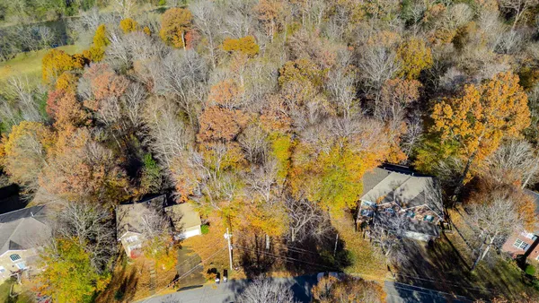 a view of a yard with trees