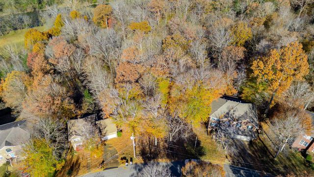 a view of a yard with trees