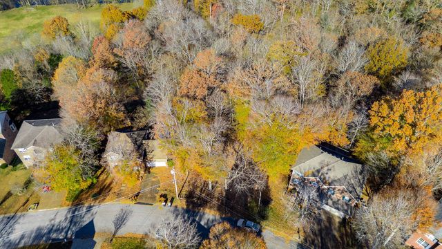 a view of a lot of trees and covered with fog