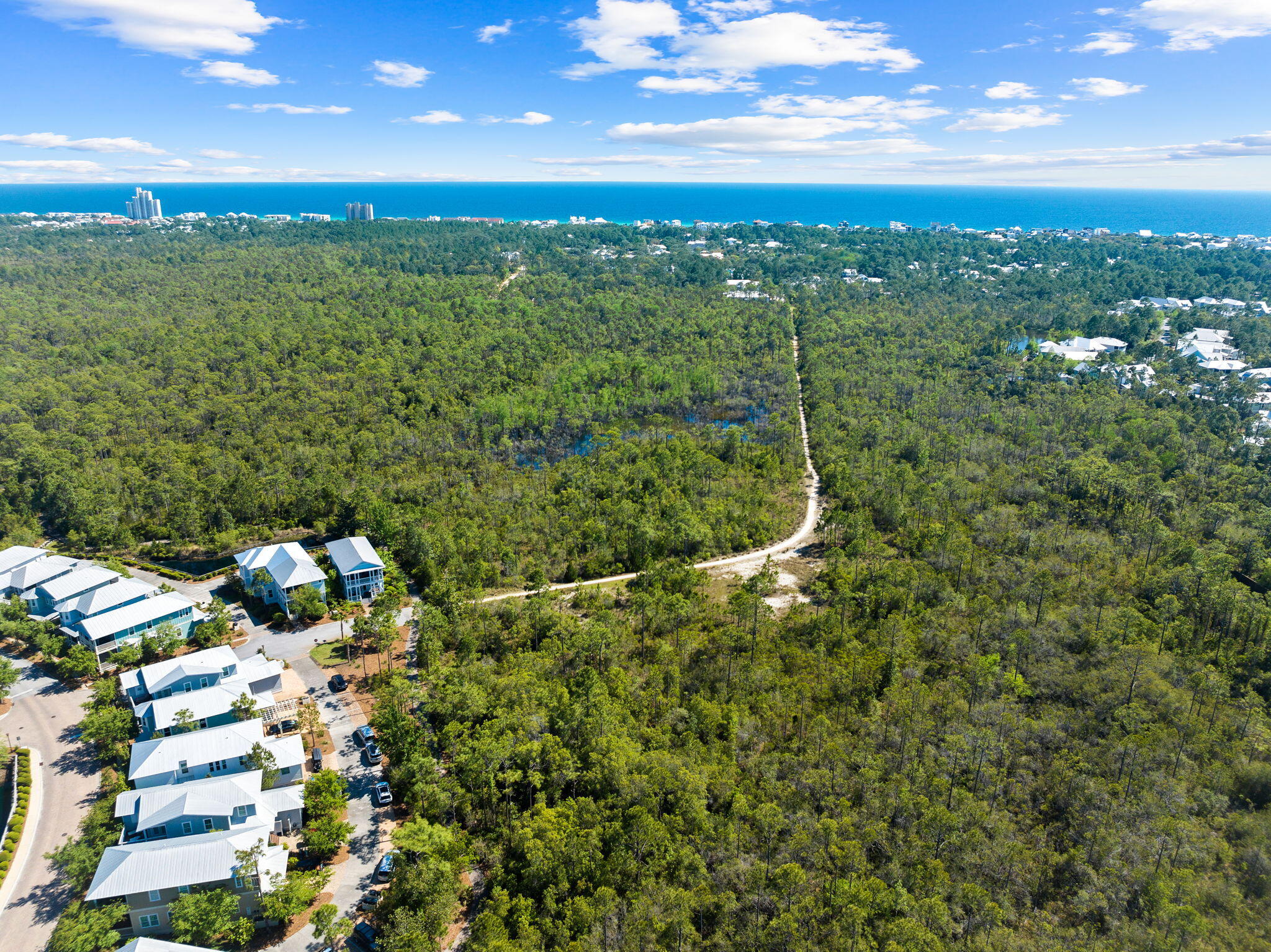 217 Flatwoods Forest Loop Santa Rosa Beach, FL 32459 - Photo 41 of 51 Array_217FlatwoodsForestLoop-97