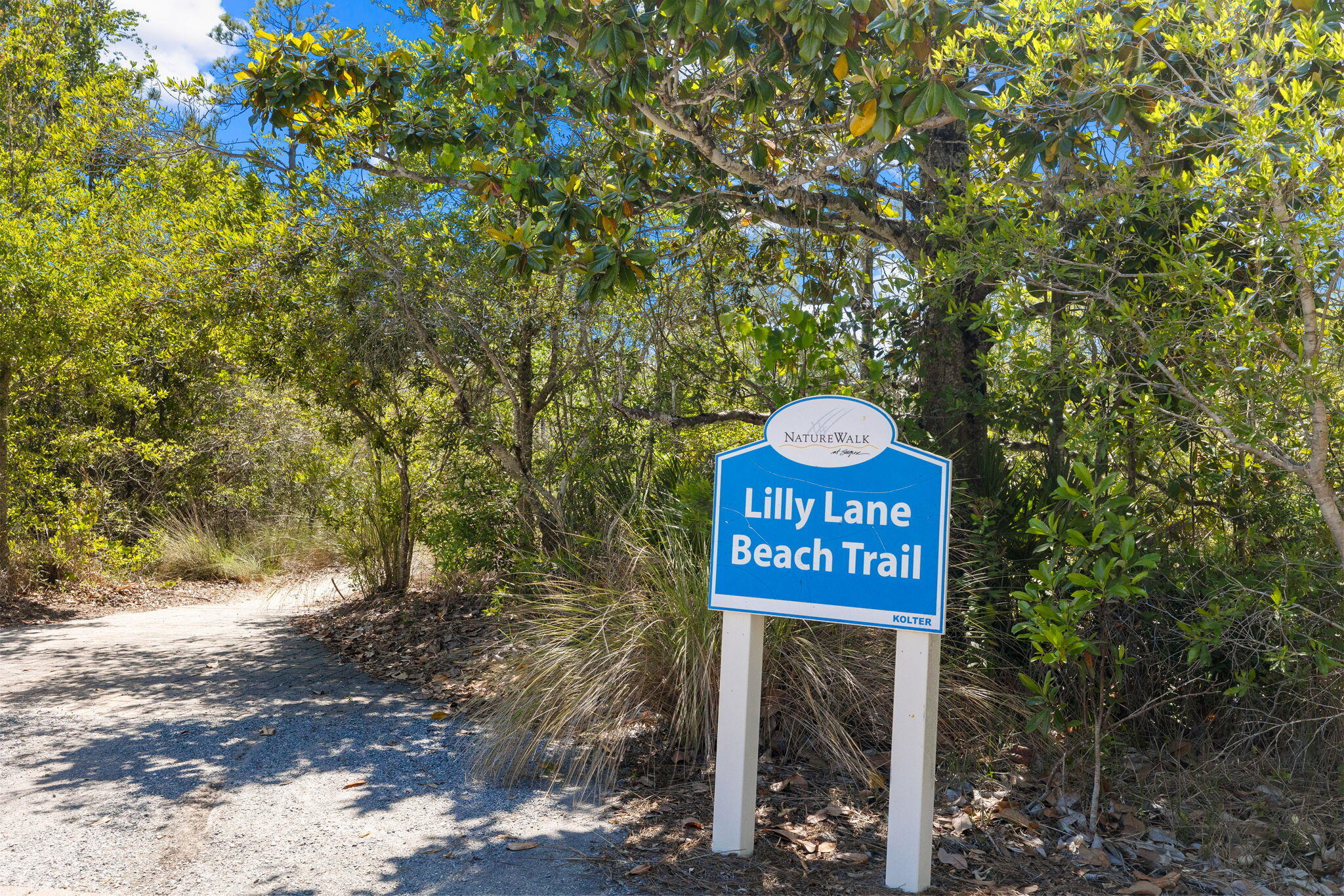 217 Flatwoods Forest Loop Santa Rosa Beach, FL 32459 - Photo 50 of 51 Array_217FlatwoodsForestLoop-122