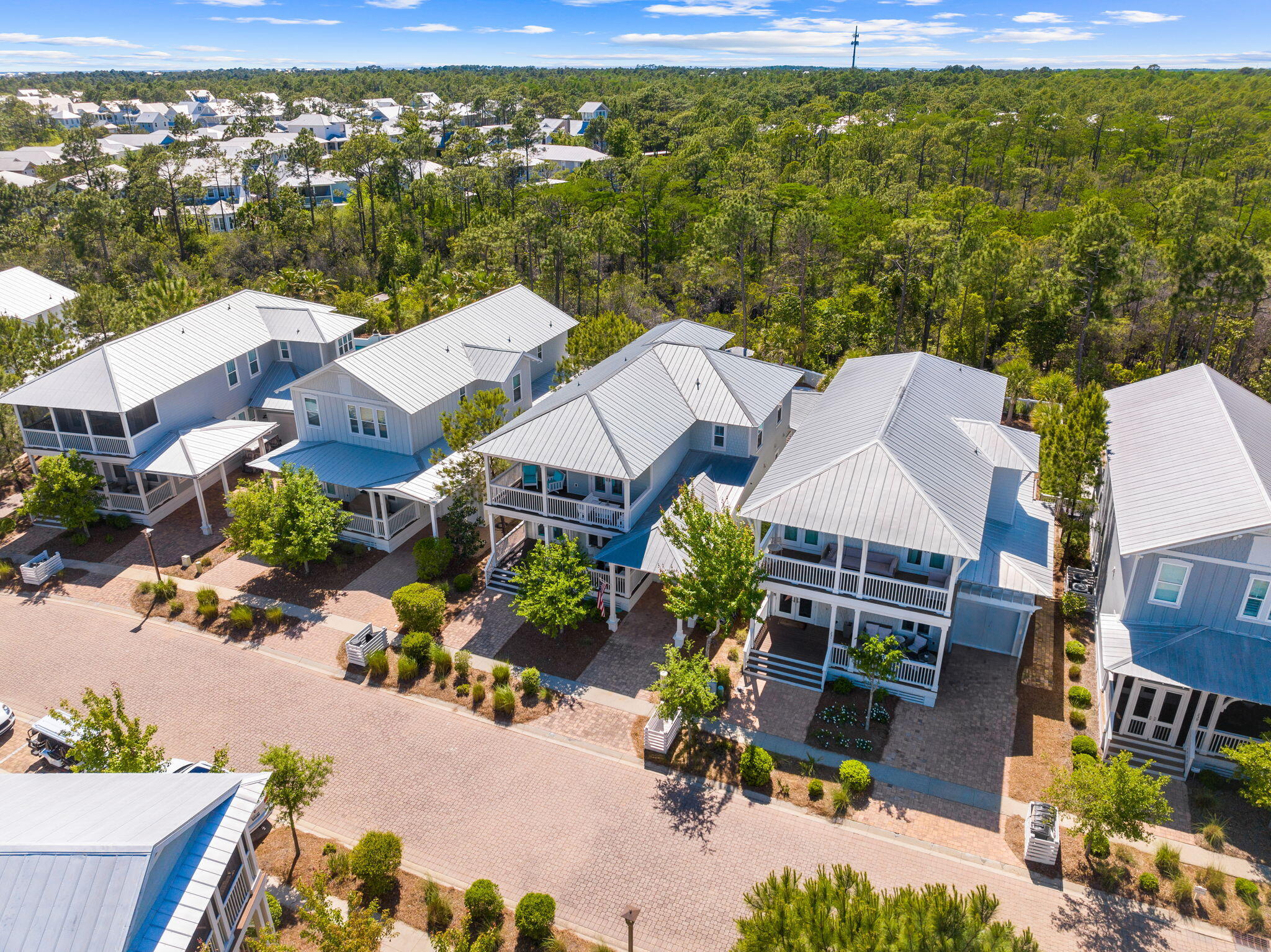 217 Flatwoods Forest Loop Santa Rosa Beach, FL 32459 - Photo 10 of 51 Array_217FlatwoodsForestLoop-20