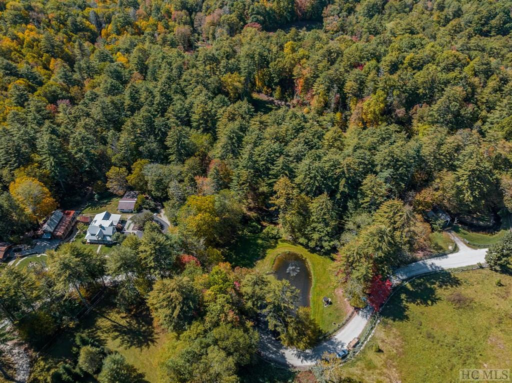 144 Laurel Knob Road Cashiers, NC 28717 - Photo 5 of 54 Gallery Image 5