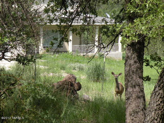 7 Umpire Ranch Road Elgin, AZ 85611 - Photo 30 of 31