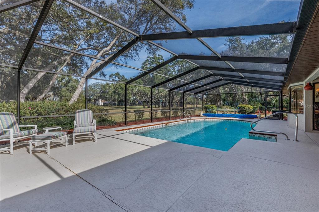 115 East Ireland Court Hernando, FL 34442 - Photo 16 of 55 a view of a swimming pool with a patio