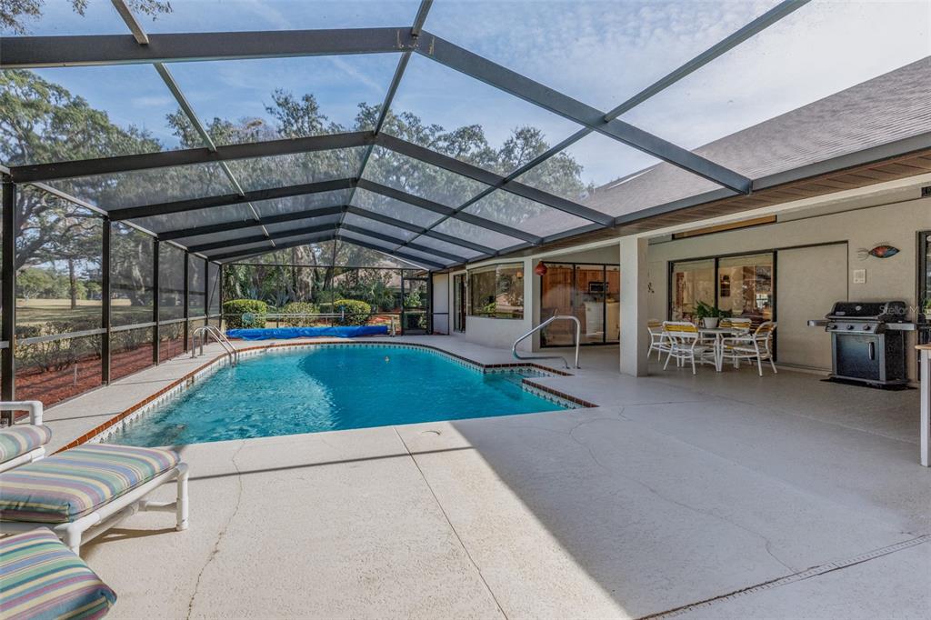 115 East Ireland Court Hernando, FL 34442 - Photo 17 of 55 a view of a backyard