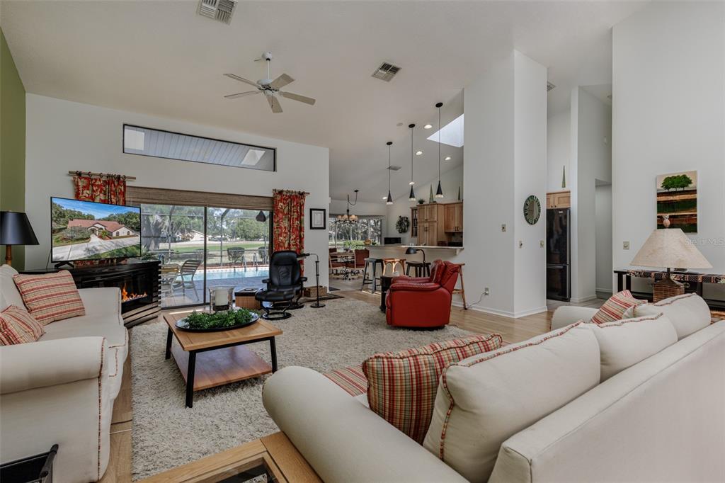 115 East Ireland Court Hernando, FL 34442 - Photo 28 of 55 a living room with furniture a rug and a chandelier