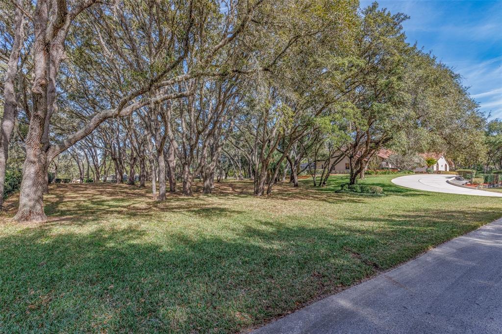 115 East Ireland Court Hernando, FL 34442 - Photo 4 of 55 a view of outdoor space with green space