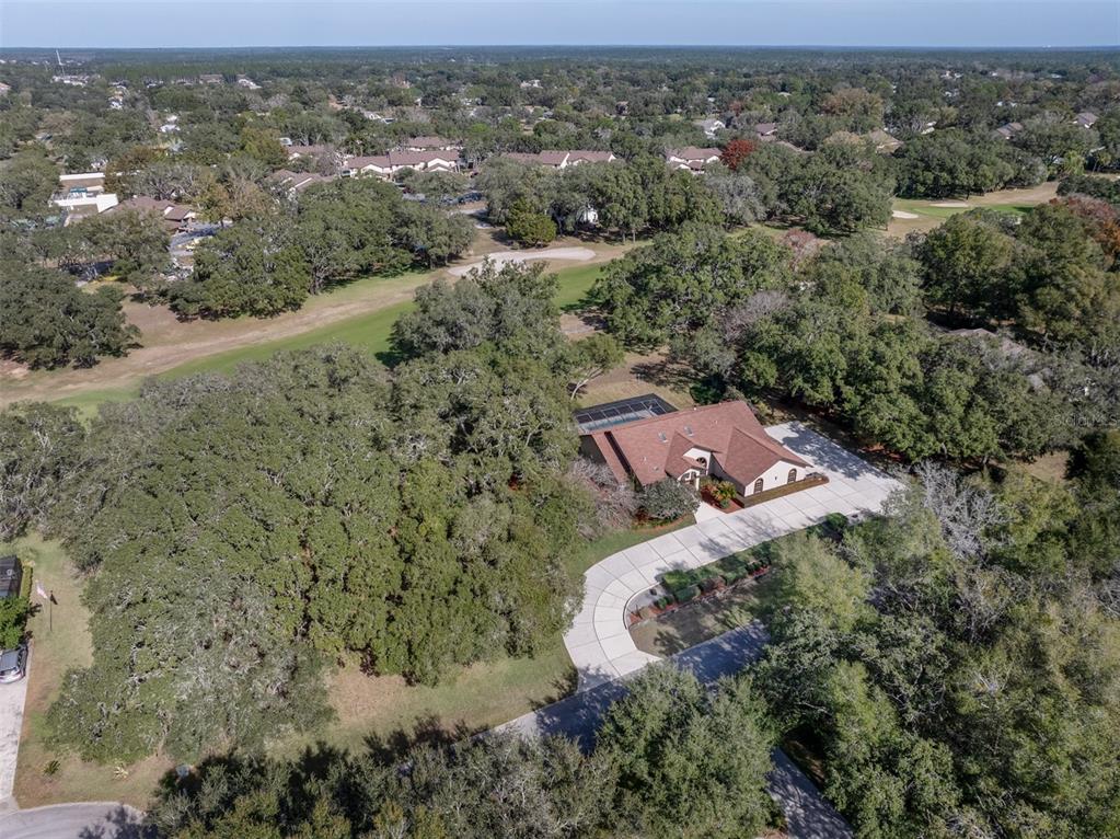 115 East Ireland Court Hernando, FL 34442 - Photo 48 of 55 an aerial view of residential house with outdoor space