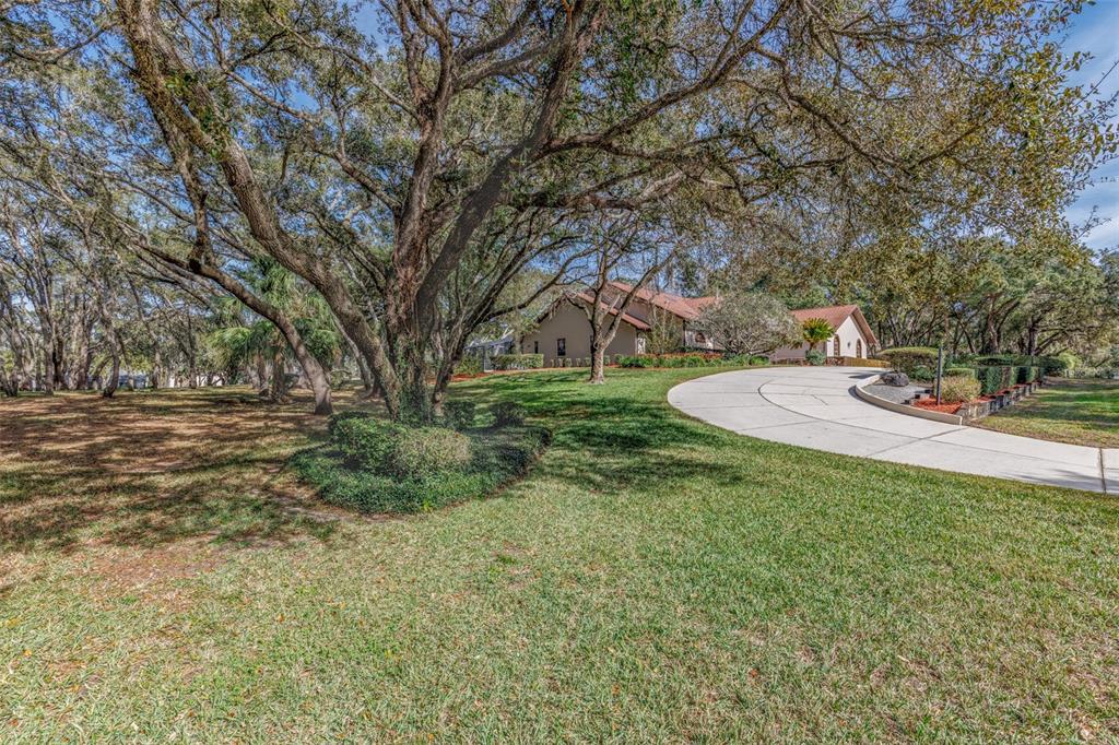 115 East Ireland Court Hernando, FL 34442 - Photo 5 of 55