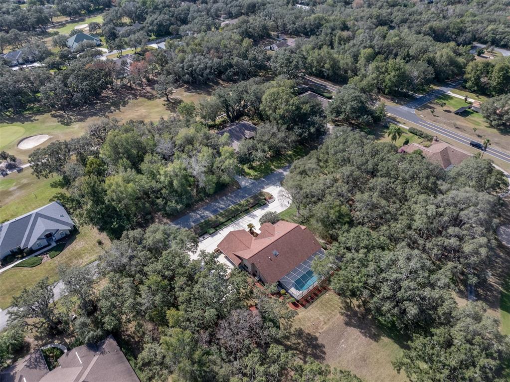 115 East Ireland Court Hernando, FL 34442 - Photo 51 of 55 an aerial view of a house with a yard